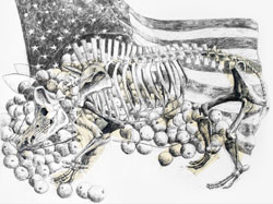 Pig Skeleton and Flag