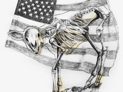Sheep Skeleton and Flag