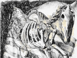 Horse Skeleton and Flag