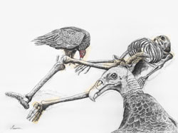 Vultures and Skeleton