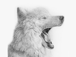 Yawning Dog